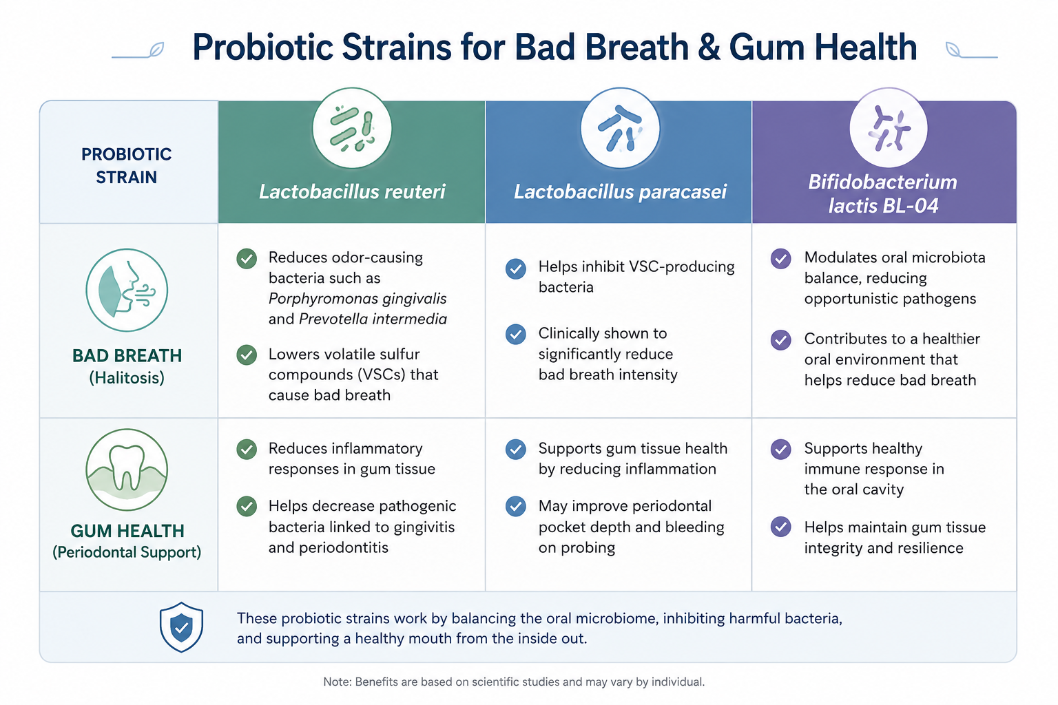 Best oral probiotics for bad breath comparison - Lactobacillus reuteri, Lactobacillus paracasei, and Bifidobacterium lactis BL-04 strain analysis